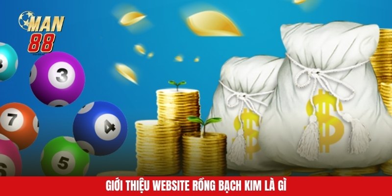 Giới thiệu website Rồng Bạch Kim là gì