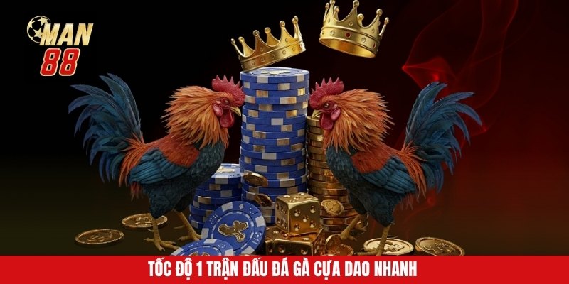Tốc độ 1 trận đấu đá gà cựa dao nhanh Tốc độ 1 trận đấu đá gà cựa dao nhanh